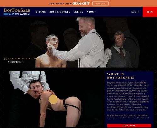 A Review Screenshot of boyforsale.com
