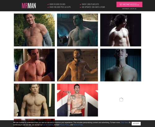 A Review Screenshot of mrman.com