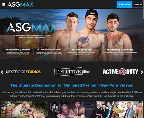 A Review Screenshot of asgmax.com