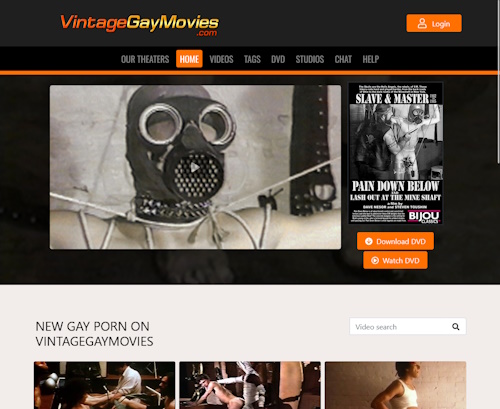 A Review Screenshot of vintagegaymovies.com