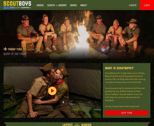 A Review Screenshot of scoutboys.com
