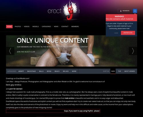A Review Screenshot of erectmodel.com