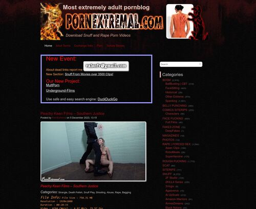 A Review Screenshot of pornextremal.com