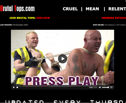 A Review Screenshot of brutaltops.com