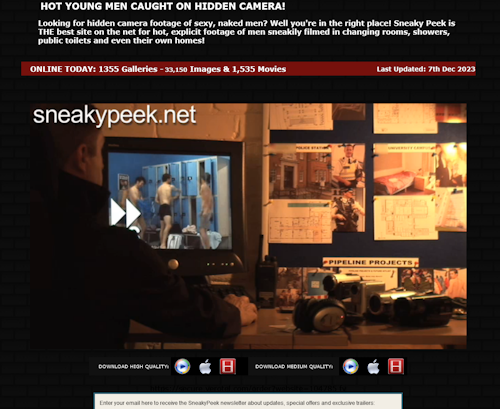 A Review Screenshot of sneakypeek.net