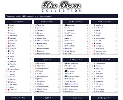A Review Screenshot of theporncollection.com