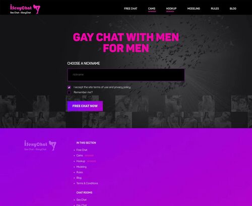 A Review Screenshot of isexychat.com