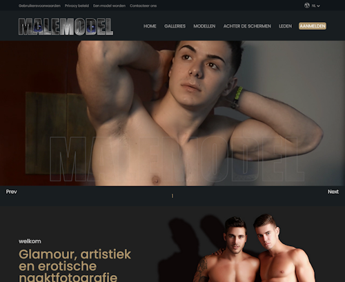 A Review Screenshot of malemodel.nl