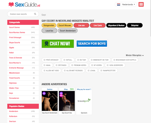 A Review Screenshot of sexguide.nl
