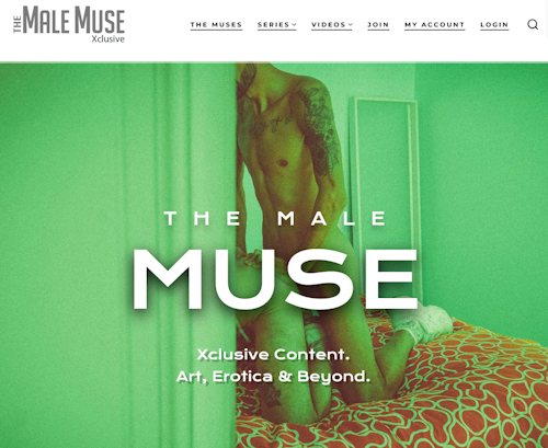 A Review Screenshot of themalemuse.online