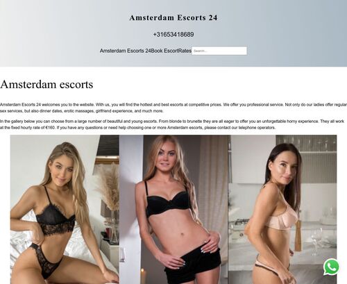 A Review Screenshot of amsterdamescorts24.com