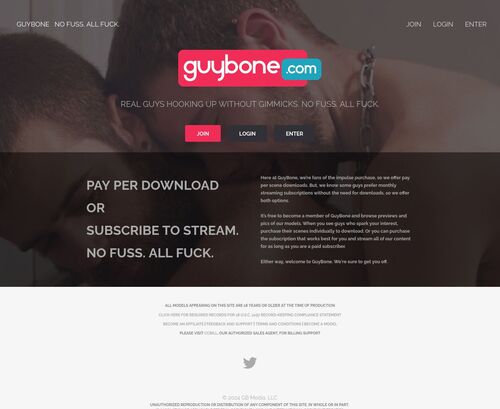 A Review Screenshot of guybone.com