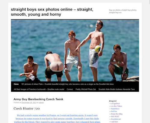 A Review Screenshot of straightboysphotos.com