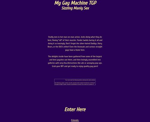 A Review Screenshot of mygaymachine.com