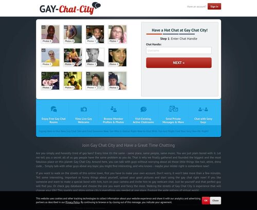 A Review Screenshot of gay-chat-city.com