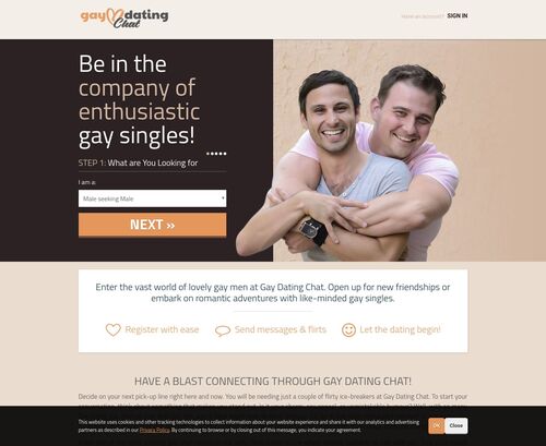 Review screenshot gaydatingchat.com