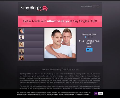 A Review Screenshot of gay-singles-chat.com
