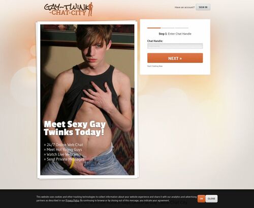 A Review Screenshot of gay-twink-chat-city.com