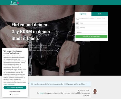 A Review Screenshot of gay.de