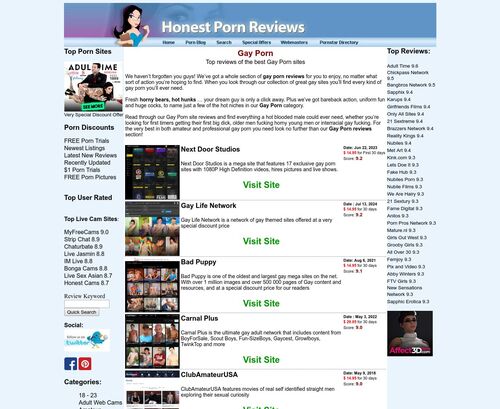 A Review Screenshot of honestpornreviews.com