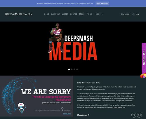 Review screenshot deepsmashmedia.com